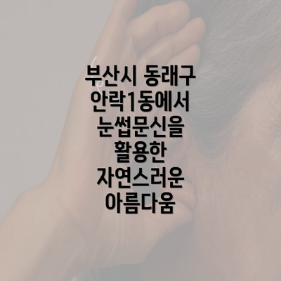 부산시 동래구 안락1동에서 눈썹문신을 활용한 자연스러운 아름다움