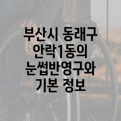 부산시 동래구 안락1동의 눈썹반영구와 기본 정보