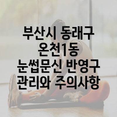 부산시 동래구 온천1동 눈썹문신 반영구 관리와 주의사항