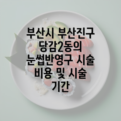 부산시 부산진구 당감2동의 눈썹반영구 시술 비용 및 시술 기간