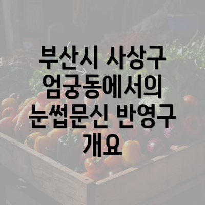 부산시 사상구 엄궁동에서의 눈썹문신 반영구 개요