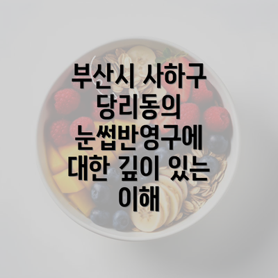 부산시 사하구 당리동의 눈썹반영구에 대한 깊이 있는 이해