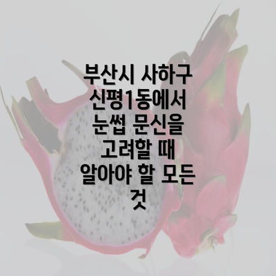 부산시 사하구 신평1동에서 눈썹 문신을 고려할 때 알아야 할 모든 것