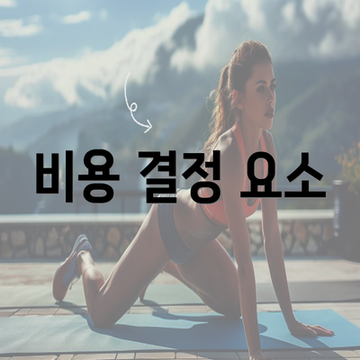 비용 결정 요소