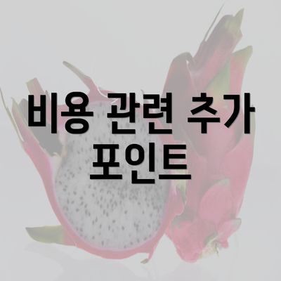 비용 관련 추가 포인트