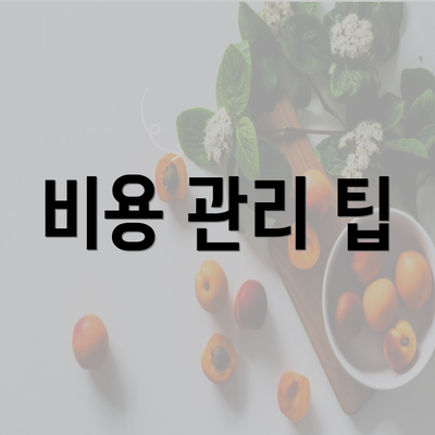 비용 관리 팁