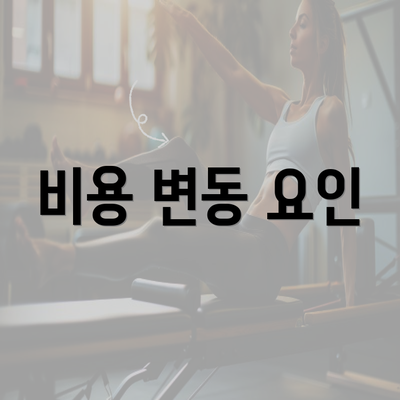 비용 변동 요인