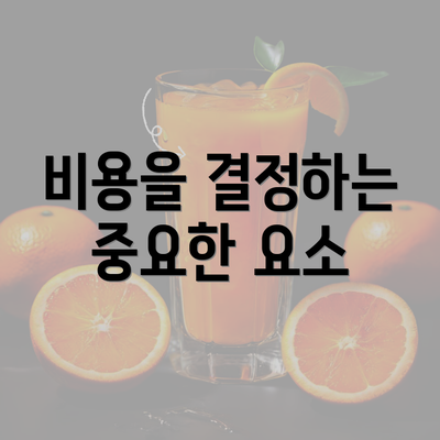 비용을 결정하는 중요한 요소