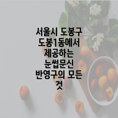 서울시 도봉구 도봉1동에서 제공하는 눈썹문신 반영구의 모든 것