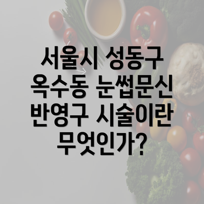 서울시 성동구 옥수동 눈썹문신 반영구 관리의 모든 것