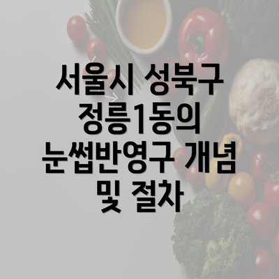 서울시 성북구 정릉1동의 눈썹반영구 개념 및 절차