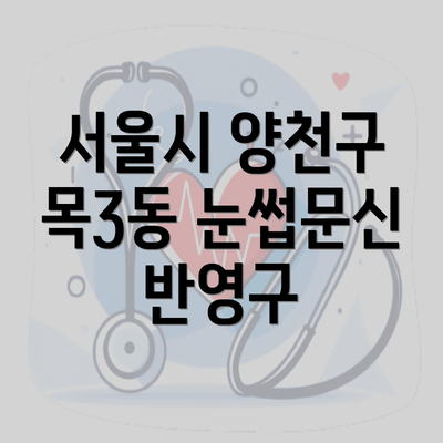 서울시 양천구 목3동 눈썹문신 반영구