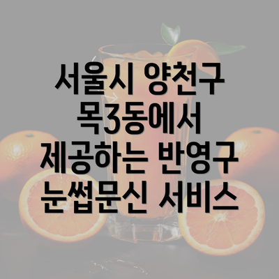 서울시 양천구 목3동에서 제공하는 반영구 눈썹문신 서비스