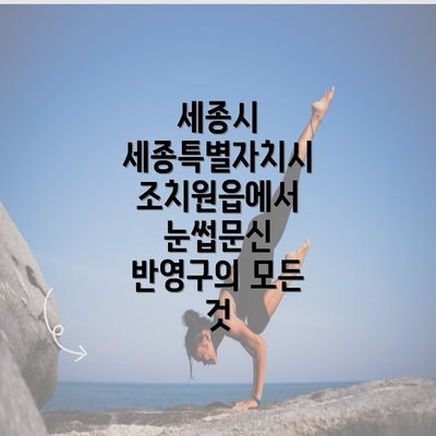 세종시 세종특별자치시 조치원읍에서 눈썹문신 반영구의 모든 것