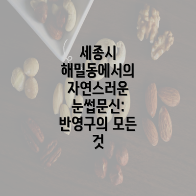 세종시 해밀동에서의 자연스러운 눈썹문신: 반영구의 모든 것