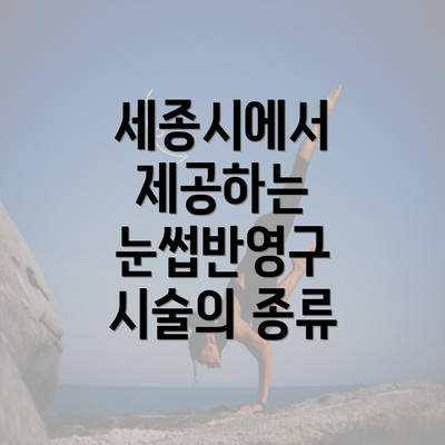 세종시에서 제공하는 눈썹반영구 시술의 종류