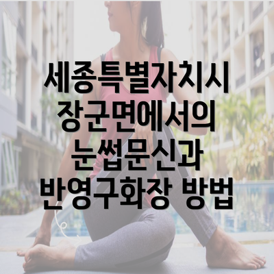 세종특별자치시 장군면에서의 눈썹문신과 반영구화장 방법