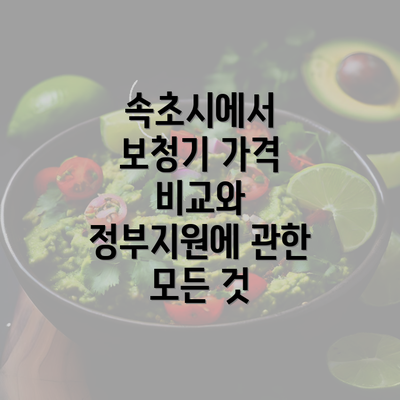 속초시에서 보청기 가격 비교와 정부지원에 관한 모든 것