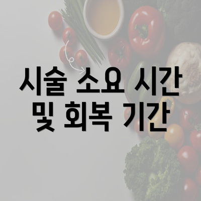 시술 소요 시간 및 회복 기간