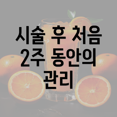 시술 후 처음 2주 동안의 관리