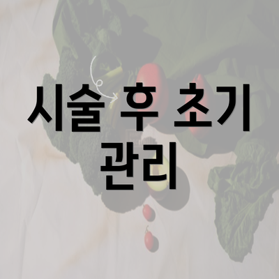 시술 후 초기 관리