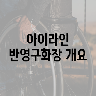 아이라인 반영구화장 개요