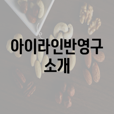 아이라인반영구 소개