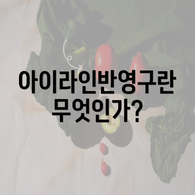 아이라인반영구란 무엇인가?