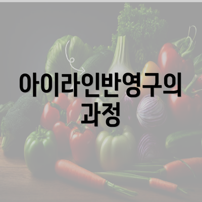 아이라인반영구의 과정