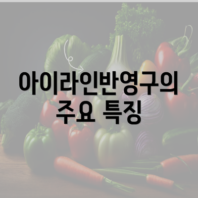 아이라인반영구의 주요 특징