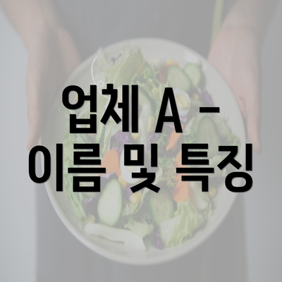 업체 A - 이름 및 특징