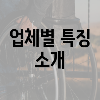 업체별 특징 소개