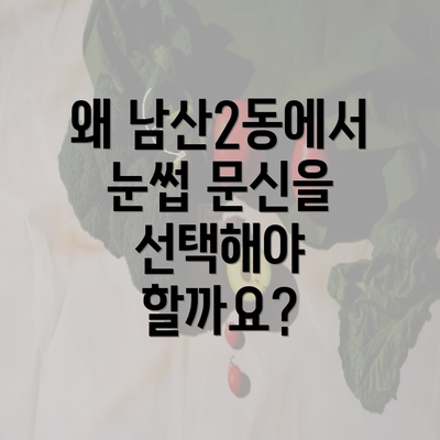 왜 남산2동에서 눈썹 문신을 선택해야 할까요?