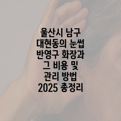 울산시 남구 대현동의 눈썹 반영구 화장과 그 비용 및 관리 방법 2025 총정리