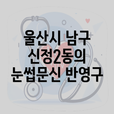 울산시 남구 신정2동의 눈썹문신 반영구