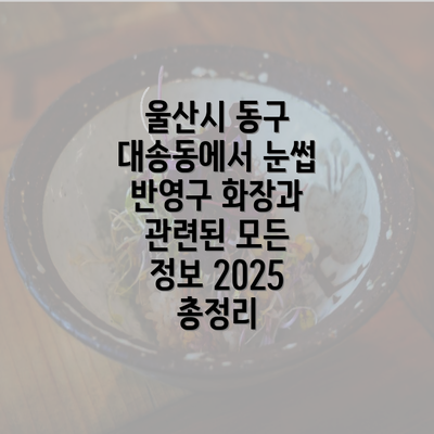 울산시 동구 대송동에서 눈썹 반영구 화장과 관련된 모든 정보 2025 총정리