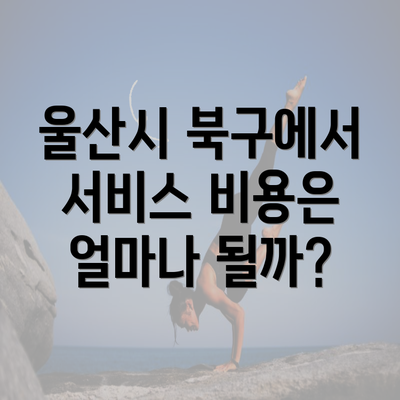 울산시 북구에서 서비스 비용은 얼마나 될까?