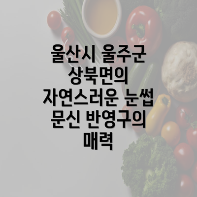 울산시 울주군 상북면의 자연스러운 눈썹 문신 반영구의 매력