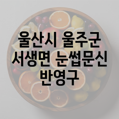 울산시 울주군 서생면 눈썹문신 반영구