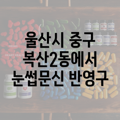 울산시 중구 복산2동에서 눈썹문신 반영구