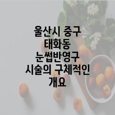 울산시 중구 태화동 눈썹반영구 시술의 구체적인 개요