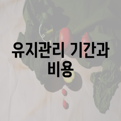 유지관리 기간과 비용