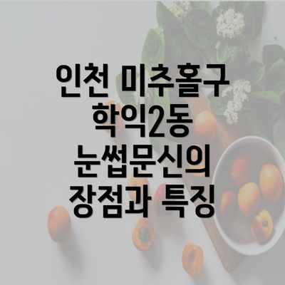 인천 미추홀구 학익2동 눈썹문신의 장점과 특징