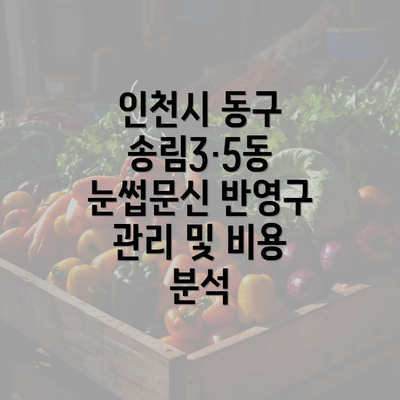 인천시 동구 송림3·5동 눈썹문신 반영구 관리 및 비용 분석