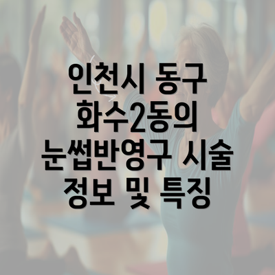 인천시 동구 화수2동의 눈썹반영구 시술 정보 및 특징