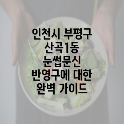 인천시 부평구 산곡1동 눈썹문신 반영구에 대한 완벽 가이드