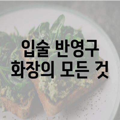 입술 반영구 화장의 모든 것