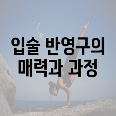 입술 반영구의 매력과 과정