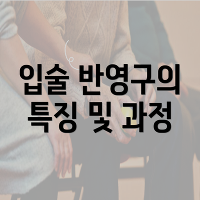 입술 반영구의 특징 및 과정