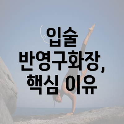 입술 반영구화장, 핵심 이유